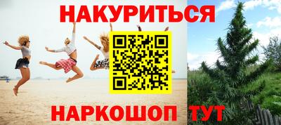 индика Кумертау
