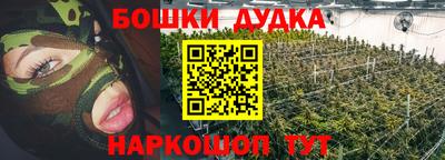 индика Ликино-Дулёво