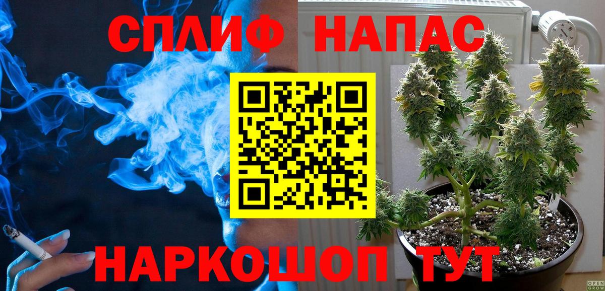 Каннабис MAZAR Камышин